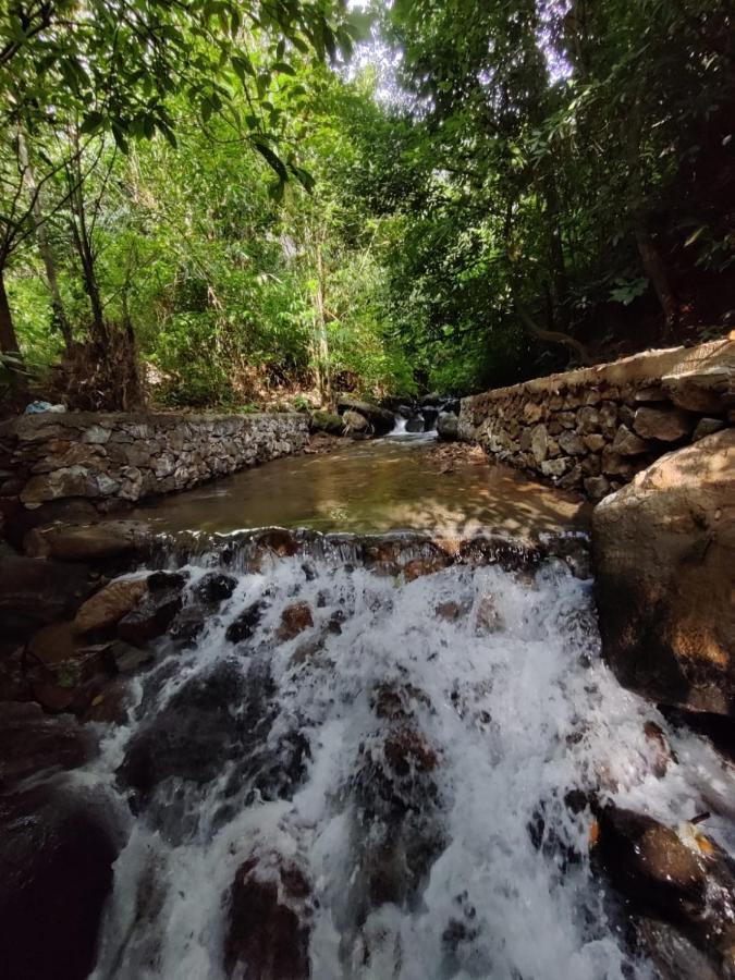 Forest And River Edge Resort Kannur Buitenkant foto