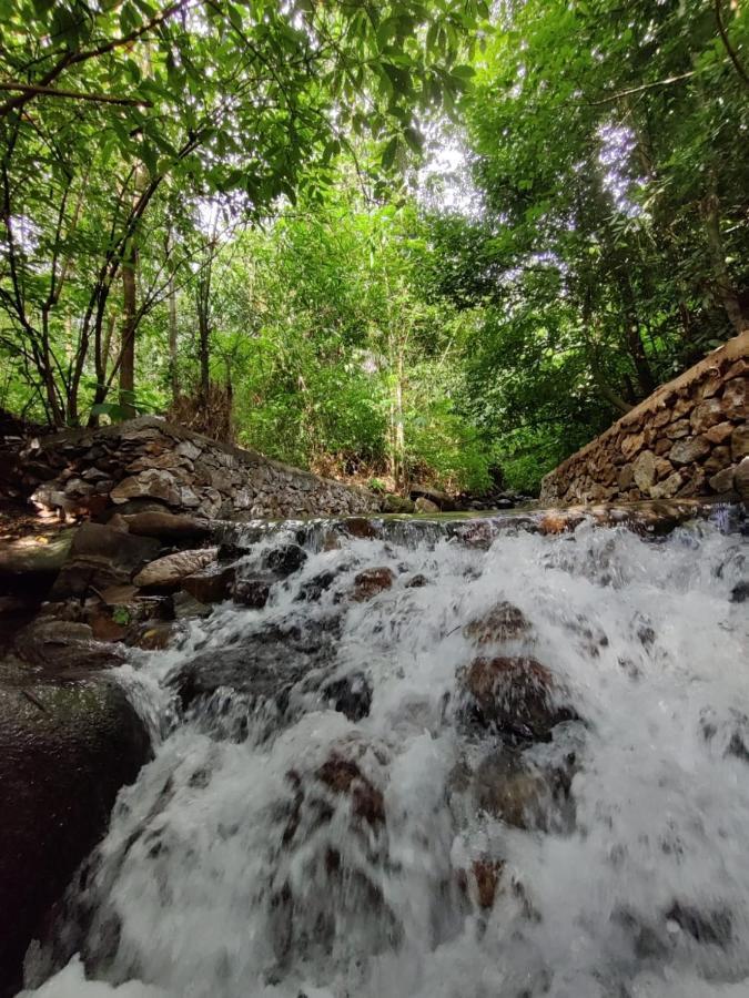 Forest And River Edge Resort Kannur Buitenkant foto