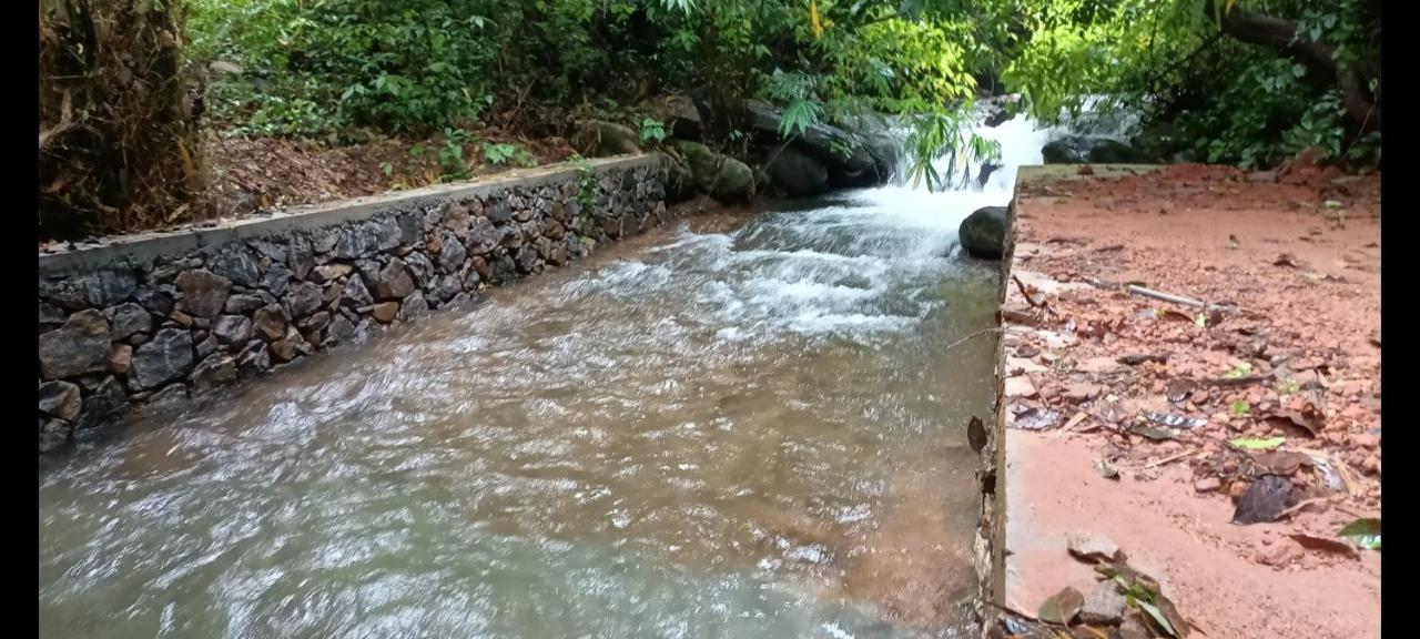 Forest And River Edge Resort Kannur Buitenkant foto
