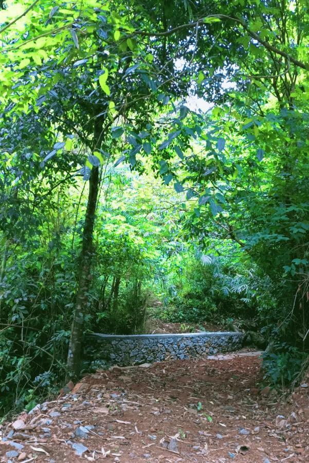 Forest And River Edge Resort Kannur Buitenkant foto
