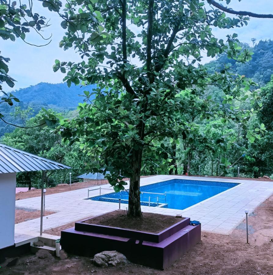 Forest And River Edge Resort Kannur Buitenkant foto